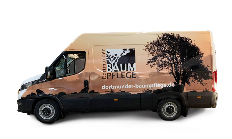Vorher-Nachher_800x480px_do-baumpflege_fertig Vorher Nachher 800x480px do baumpflege fertig